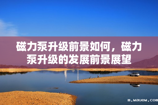 磁力泵升级前景如何,磁力泵升级的发展前景展望 磁力泵升级前景如何,磁力泵升级的发展前景展望