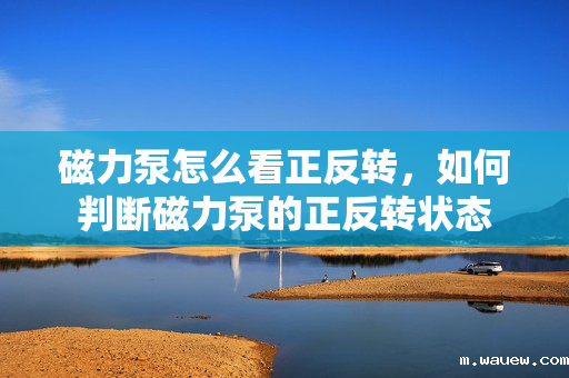 磁力泵怎么看正反转,如何判断磁力泵的正反转状态 磁力泵怎么看正反转,如何判断磁力泵的正反转状态