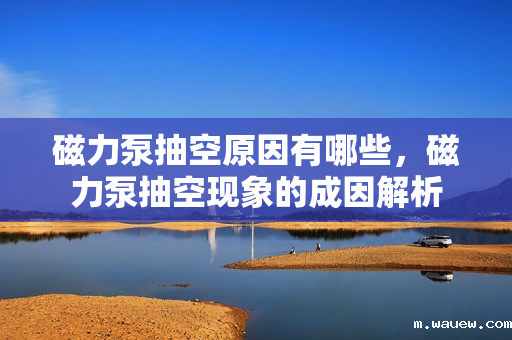 磁力泵抽空原因有哪些,磁力泵抽空现象的成因解析 磁力泵抽空原因有哪些,磁力泵抽空现象的成因解析