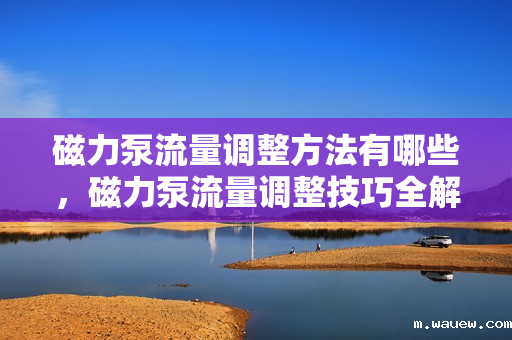 磁力泵流量调整方法有哪些,磁力泵流量调整技巧全解析 磁力泵流量调整方法有哪些,磁力泵流量调整技巧全解析