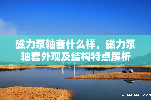 磁力泵轴套什么样,磁力泵轴套外观及结构特点解析 磁力泵轴套什么样,磁力泵轴套外观及结构特点解析