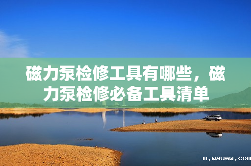 磁力泵检修工具有哪些,磁力泵检修必备工具清单 磁力泵检修工具有哪些,磁力泵检修必备工具清单