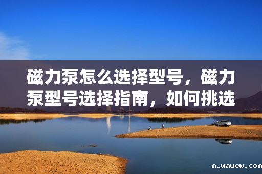 磁力泵怎么选择型号,磁力泵型号选择指南,如何挑选适合的磁力泵 磁力泵怎么选择型号,磁力泵型号选择指南,如何挑选适合的磁力泵