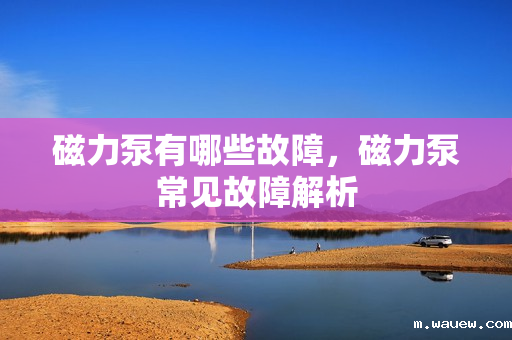 磁力泵有哪些故障,磁力泵常见故障解析 磁力泵有哪些故障,磁力泵常见故障解析