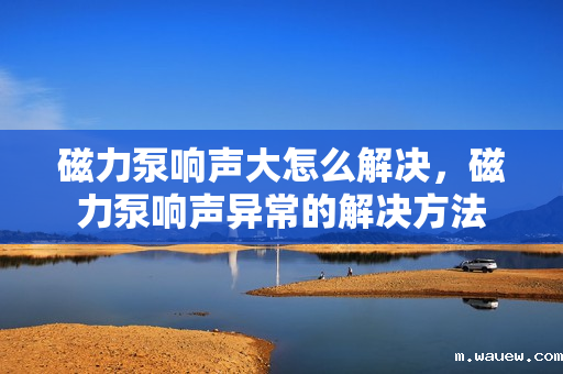 磁力泵响声大怎么解决,磁力泵响声异常的解决方法 磁力泵响声大怎么解决,磁力泵响声异常的解决方法