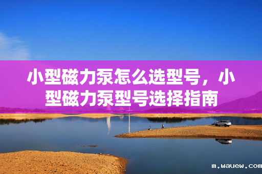 小型磁力泵怎么选型号,小型磁力泵型号选择指南 小型磁力泵怎么选型号,小型磁力泵型号选择指南