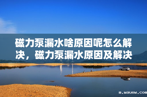 磁力泵漏水啥原因呢怎么解决,磁力泵漏水原因及解决方案 磁力泵漏水啥原因呢怎么解决,磁力泵漏水原因及解决方案