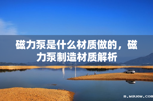 磁力泵是什么材质做的,磁力泵制造材质解析 磁力泵是什么材质做的,磁力泵制造材质解析