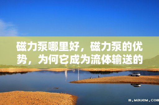 磁力泵哪里好,磁力泵的优势,为何它成为流体输送的首选? 磁力泵哪里好,磁力泵的优势,为何它成为流体输送的首选?