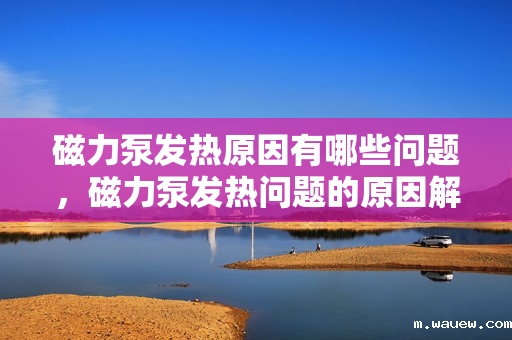 磁力泵发热原因有哪些问题,磁力泵发热问题的原因解析 磁力泵发热原因有哪些问题,磁力泵发热问题的原因解析