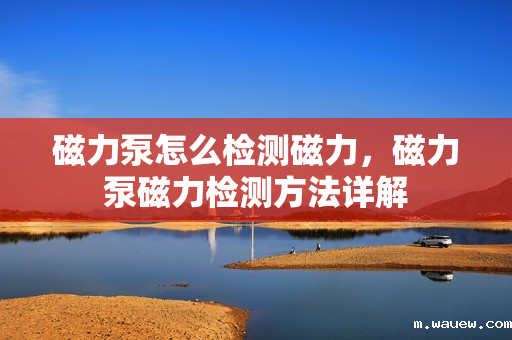 磁力泵怎么检测磁力,磁力泵磁力检测方法详解 磁力泵怎么检测磁力,磁力泵磁力检测方法详解