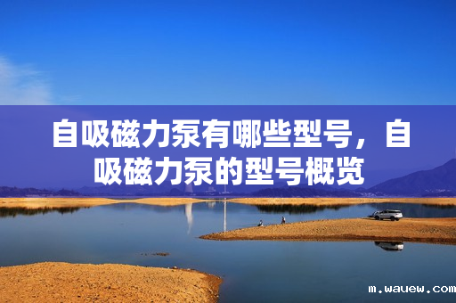 自吸磁力泵有哪些型号,自吸磁力泵的型号概览 自吸磁力泵有哪些型号,自吸磁力泵的型号概览