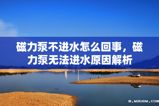 磁力泵不进水怎么回事,磁力泵无法进水原因解析 磁力泵不进水怎么回事,磁力泵无法进水原因解析