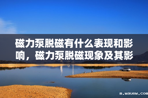 磁力泵脱磁有什么表现和影响,磁力泵脱磁现象及其影响解析 磁力泵脱磁有什么表现和影响,磁力泵脱磁现象及其影响解析