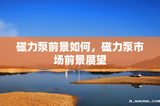 磁力泵前景如何,磁力泵市场前景展望 磁力泵前景如何,磁力泵市场前景展望