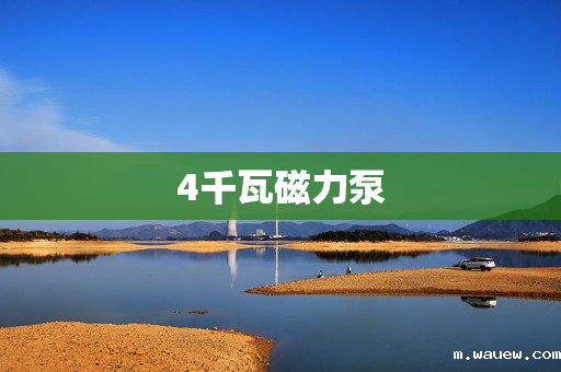 4千瓦磁力泵 4千瓦磁力泵