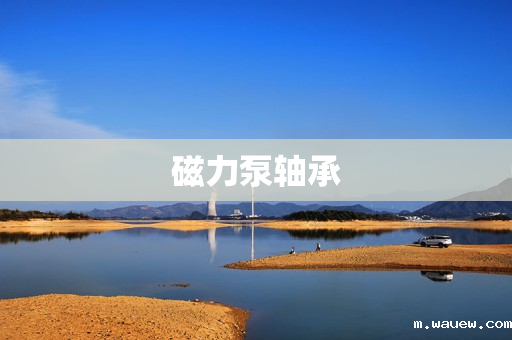 磁力泵轴承 磁力泵轴承