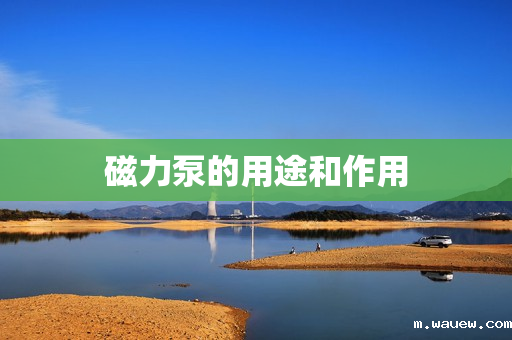 磁力泵的用途和作用 磁力泵的用途和作用