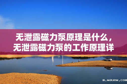 无泄露磁力泵原理是什么,无泄露磁力泵的工作原理详解 无泄露磁力泵原理是什么,无泄露磁力泵的工作原理详解