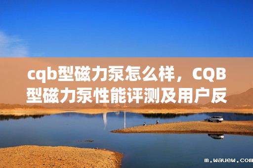 cqb型磁力泵怎么样,CQB型磁力泵性能评测及用户反馈 cqb型磁力泵怎么样,CQB型磁力泵性能评测及用户反馈