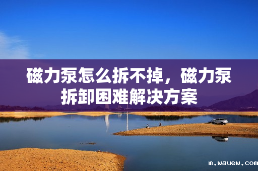 磁力泵怎么拆不掉,磁力泵拆卸困难解决方案 磁力泵怎么拆不掉,磁力泵拆卸困难解决方案