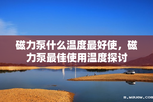 磁力泵什么温度最好使,磁力泵最佳使用温度探讨 磁力泵什么温度最好使,磁力泵最佳使用温度探讨