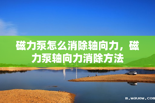 磁力泵怎么消除轴向力,磁力泵轴向力消除方法 磁力泵怎么消除轴向力,磁力泵轴向力消除方法