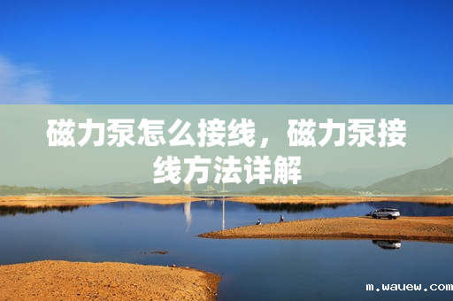 磁力泵怎么接线,磁力泵接线方法详解 磁力泵怎么接线,磁力泵接线方法详解