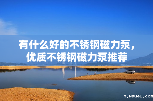 有什么好的不锈钢磁力泵,优质不锈钢磁力泵推荐 有什么好的不锈钢磁力泵,优质不锈钢磁力泵推荐