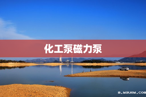 化工泵磁力泵 化工泵磁力泵