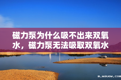 磁力泵为什么吸不出来双氧水,磁力泵无法吸取双氧水的原因解析 磁力泵为什么吸不出来双氧水,磁力泵无法吸取双氧水的原因解析