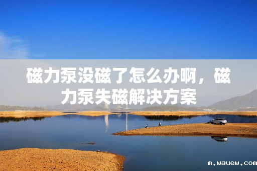 磁力泵没磁了怎么办啊,磁力泵失磁解决方案 磁力泵没磁了怎么办啊,磁力泵失磁解决方案