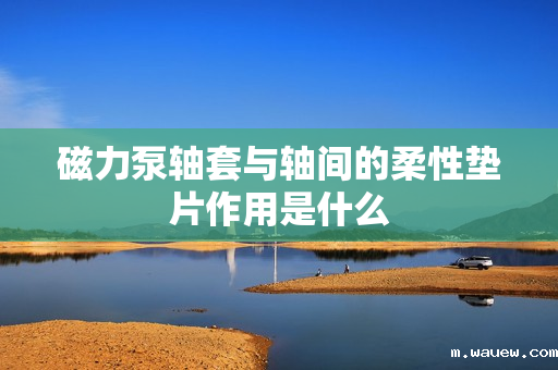 磁力泵轴套与轴间的柔性垫片作用是什么 磁力泵轴套与轴间的柔性垫片作用是什么