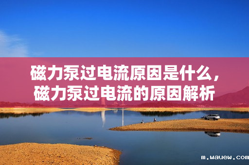 磁力泵过电流原因是什么,磁力泵过电流的原因解析 磁力泵过电流原因是什么,磁力泵过电流的原因解析