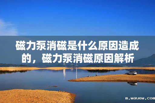 磁力泵消磁是什么原因造成的,磁力泵消磁原因解析 磁力泵消磁是什么原因造成的,磁力泵消磁原因解析