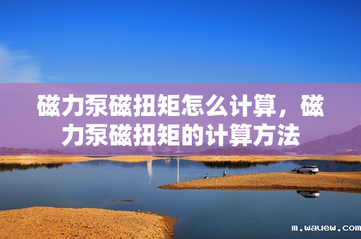 磁力泵磁扭矩怎么计算,磁力泵磁扭矩的计算方法 磁力泵磁扭矩怎么计算,磁力泵磁扭矩的计算方法