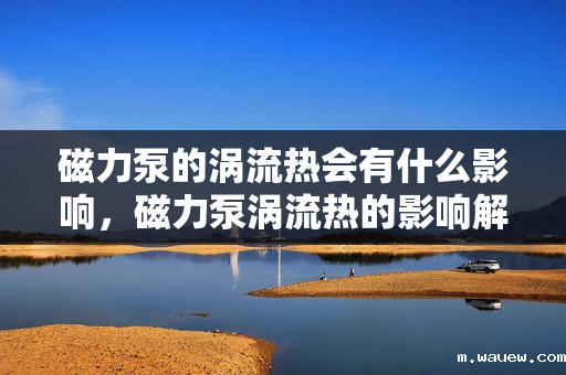 磁力泵的涡流热会有什么影响,磁力泵涡流热的影响解析 磁力泵的涡流热会有什么影响,磁力泵涡流热的影响解析