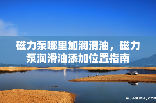 磁力泵哪里加润滑油,磁力泵润滑油添加位置指南 磁力泵哪里加润滑油,磁力泵润滑油添加位置指南