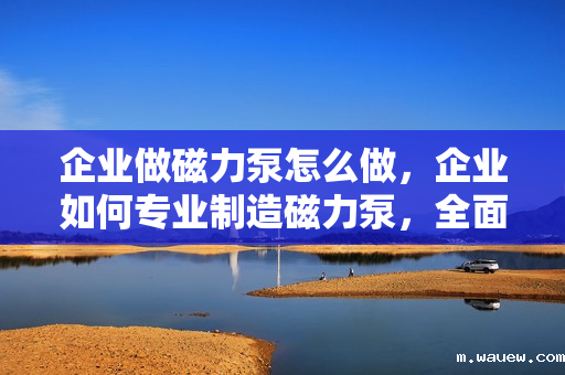 企业做磁力泵怎么做,企业如何专业制造磁力泵,全面指南 企业做磁力泵怎么做,企业如何专业制造磁力泵,全面指南