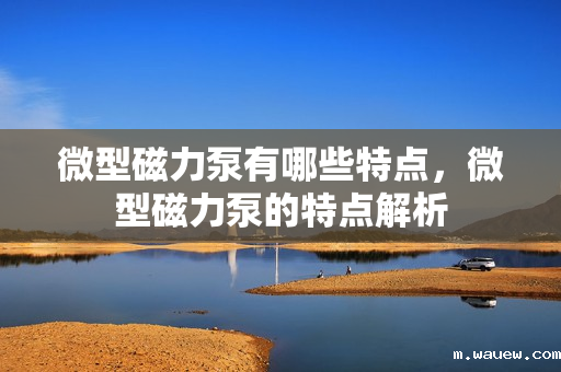 微型磁力泵有哪些特点,微型磁力泵的特点解析 微型磁力泵有哪些特点,微型磁力泵的特点解析