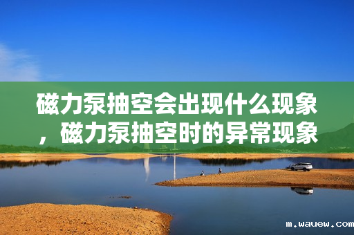 磁力泵抽空会出现什么现象,磁力泵抽空时的异常现象解析 磁力泵抽空会出现什么现象,磁力泵抽空时的异常现象解析