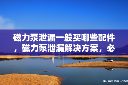 磁力泵泄漏一般买哪些配件,磁力泵泄漏解决方案,必备配件购买指南 磁力泵泄漏一般买哪些配件,磁力泵泄漏解决方案,必备配件购买指南