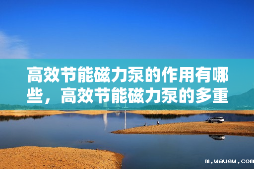 高效节能磁力泵的作用有哪些,高效节能磁力泵的多重功效解析 高效节能磁力泵的作用有哪些,高效节能磁力泵的多重功效解析