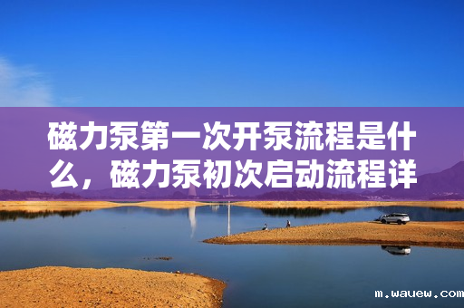 磁力泵第一次开泵流程是什么,磁力泵初次启动流程详解 磁力泵第一次开泵流程是什么,磁力泵初次启动流程详解