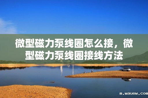 微型磁力泵线圈怎么接,微型磁力泵线圈接线方法 微型磁力泵线圈怎么接,微型磁力泵线圈接线方法