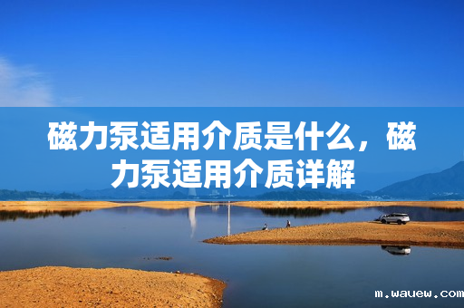 磁力泵适用介质是什么,磁力泵适用介质详解 磁力泵适用介质是什么,磁力泵适用介质详解