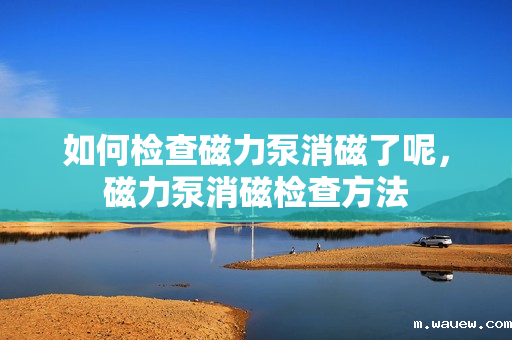 如何检查磁力泵消磁了呢,磁力泵消磁检查方法 如何检查磁力泵消磁了呢,磁力泵消磁检查方法