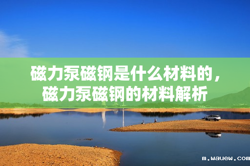 磁力泵磁钢是什么材料的,磁力泵磁钢的材料解析 磁力泵磁钢是什么材料的,磁力泵磁钢的材料解析