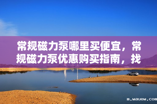 常规磁力泵哪里买便宜,常规磁力泵优惠购买指南,找到最便宜的购买渠道 常规磁力泵哪里买便宜,常规磁力泵优惠购买指南,找到最便宜的购买渠道