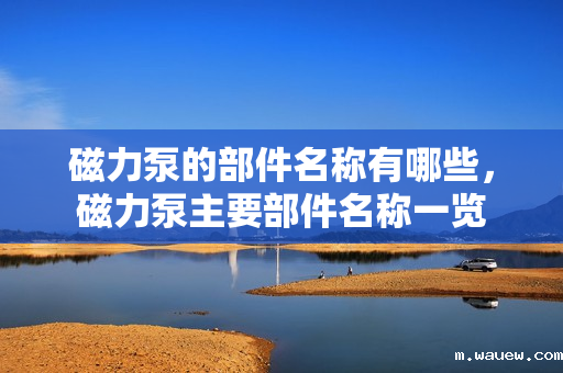 磁力泵的部件名称有哪些,磁力泵主要部件名称一览 磁力泵的部件名称有哪些,磁力泵主要部件名称一览